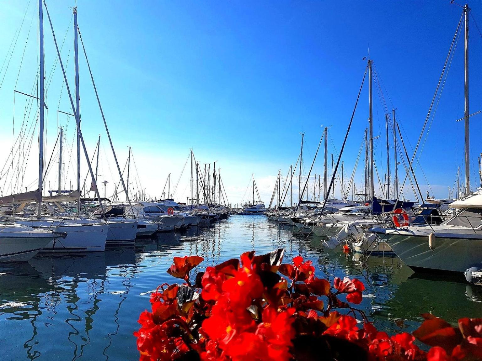 Studio T1- 2 Min Des Plages - Golf-Juan - Clim&Wifi Vallauris Exterior foto